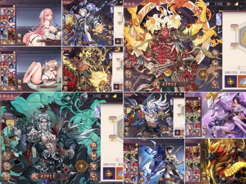 霸王三国:传奇将-内购＋后台-资源网